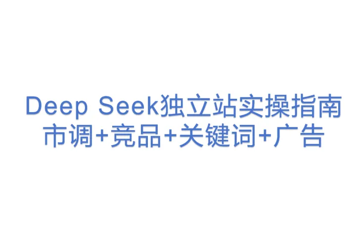 Deep Seek独立站实操指南：<em>市</em>调+竞品+关键词+广告