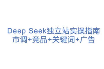 Deep Seek独立站实操指南：市调+竞品+关键词+广告