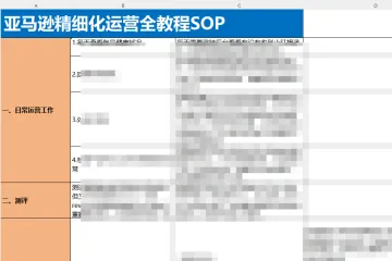 亚马逊精细化运营全教程SOP