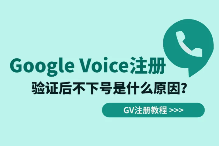 Google Voice注册验证后不下号是什么原因？