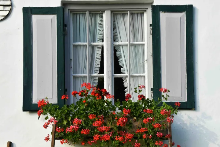 出海观察|全球窗帘市场分析及趋势预测