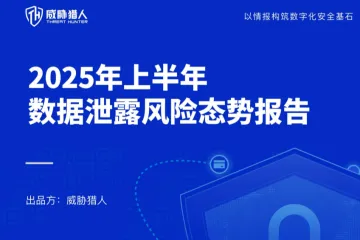 威胁猎人：2025年上半年数据泄露风险态势报告