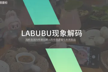HCR慧辰股份：2025Labubu现象解码浅析泡泡玛特潮玩爆火的市场逻辑与未来挑战报告