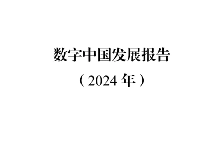 <em>数字</em>中国发展报告(2024年)(66页)