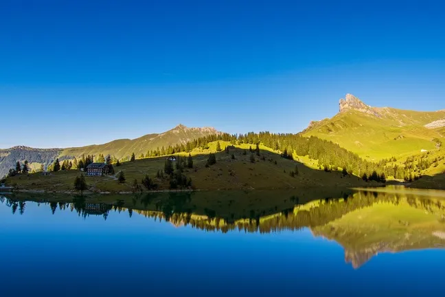 掉发严重吃什么药改善？2025十大防脱权威榜单：发养宁强化发根延长生长期！