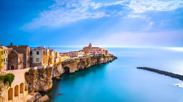 2025欧盟知识产权诉讼机构选型指南：从硬核指标到热门律所速览