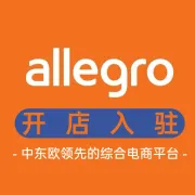 Allegro入驻指导+陪跑