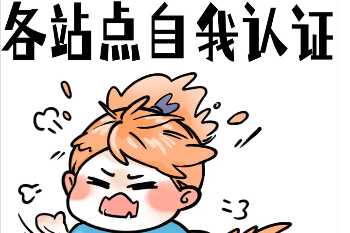 关于亚马逊自我认证过审