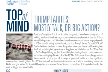 高盛：2025年特朗普关税政策研究报告夸夸其谈还是实际行动英文版