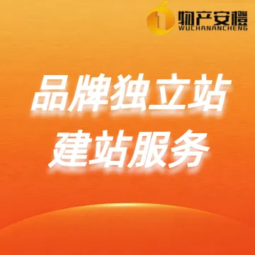 B2B独立站建站服务｜<em>外贸</em>官网+SEO优化