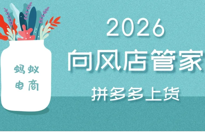 向风店管家-拼多多批量上货软件-淘上拼、1688上拼首选软件