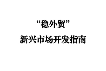 中国出口信用保险公司：2025稳外贸新兴市场开发指南