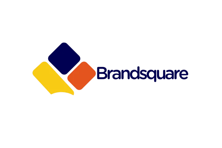 3000 元撬动 2.4 亿市场！中国供应商入驻 BrandSquare，开启尼日利亚跨境电商财富新征程