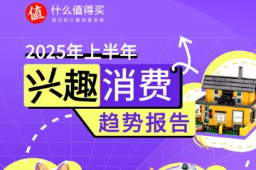 什么值得买：2025年上半年兴趣消费报告