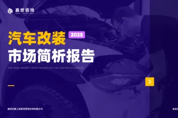 嘉世咨询2025汽车改装行业简析报告16页