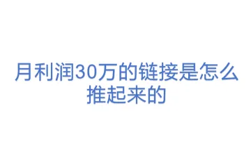 月利润30万的链接是怎么推起来的