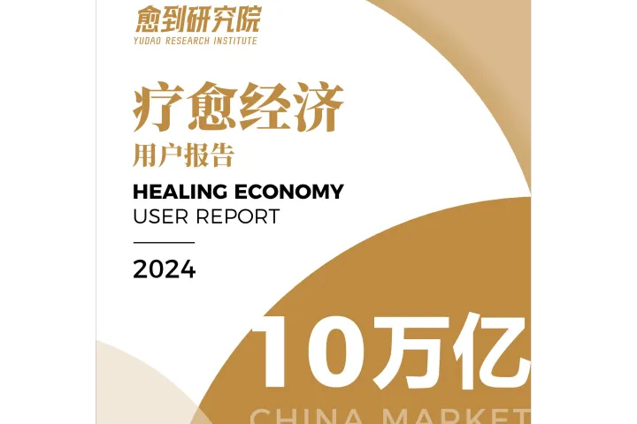 愈到研究院疗愈经济<em>用户</em>报告
