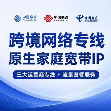 跨境专线网络服务|三大运营商线路·原生IP支持