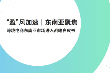 派安盈:2025跨境电商东南亚市场进入战略白皮书
