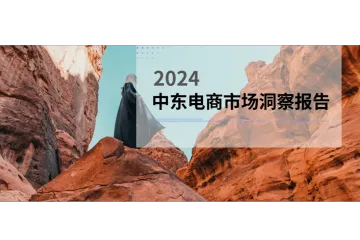 2024中东电商市场洞察报告解读