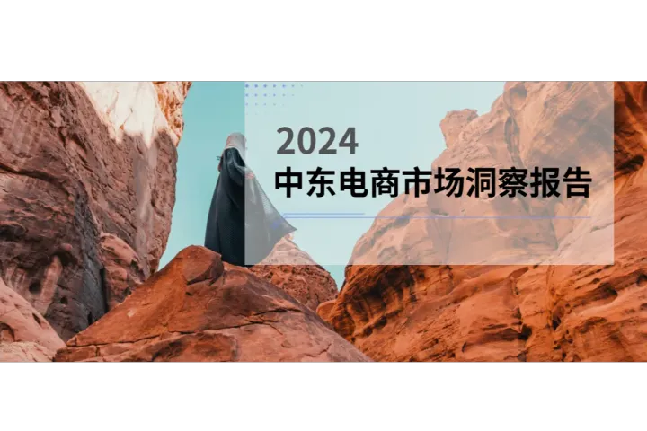 2024中东电商市场洞察报告解读