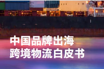 菜鸟网络：2022中国品牌出海跨境物流白皮书（34页）