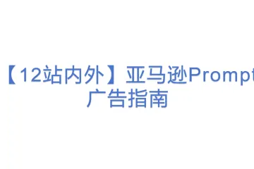 【12站内外】亚马逊Prompt广告指南(2)