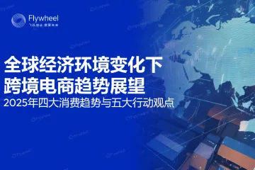 飞未2025年跨境电商年度报告