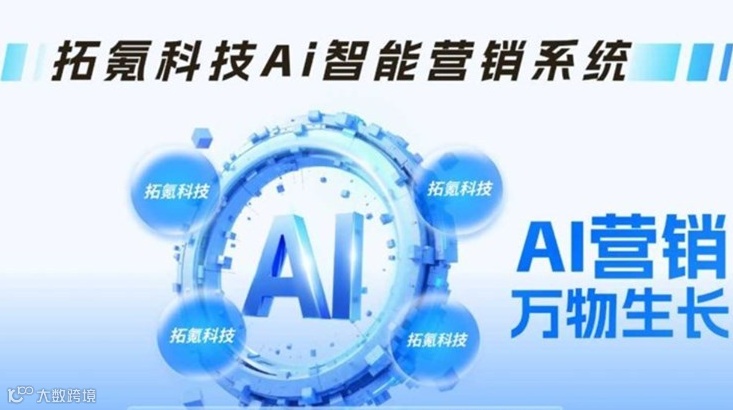 deepseek优化服务-AI智能营销系统