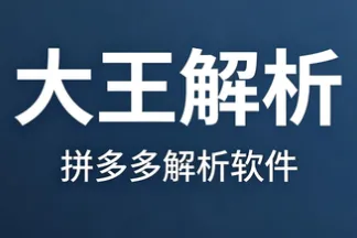 大王解析：拼多多解析软件-支持网页版解析、手机端解析-实时数据解析不费买手号-适配多平台上货软件