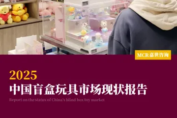 嘉世咨询：2025中国盲盒玩具市场现状报告
