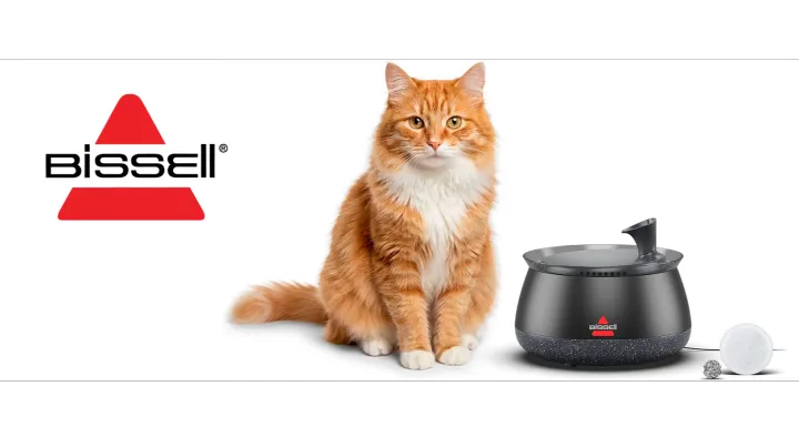 海外红人营销|一周做到206万美元！“猫咪饮水机”在TikTok卖疯！