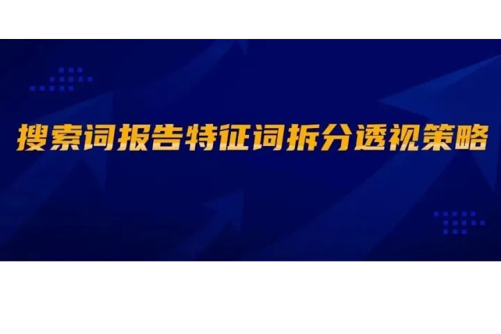 搜索词报告特征词拆分透视策略
