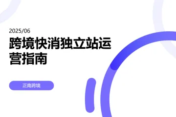 202506 跨境快消独立站运营指南