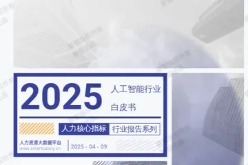 薪智2025年Q2人工智能行业薪酬报告46页