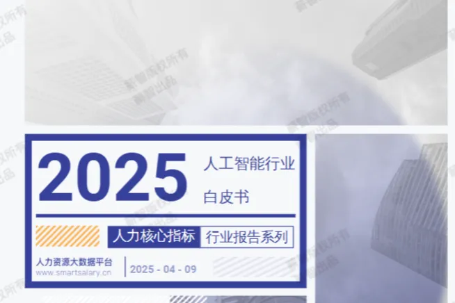 薪智2025年Q2人工智能行业薪酬报告46页