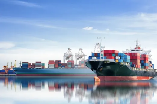 从自然到付费，Temu卖家必知的五大流量来源与CTR/CVR的提高