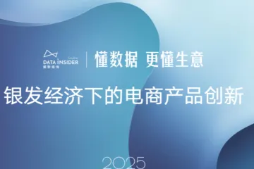 解数咨询2025银发经济下的电商产品创新报告简版23页