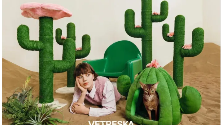 你没听过的上海品牌，在北美把160美元的猫爬架卖成了爆款