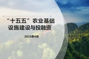 农业农村部工程建设服务中心：2025十五五农业基础设施建设与投融资报告