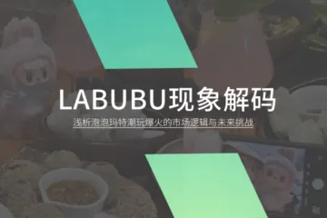HCR慧辰股份：2025Labubu现象解码浅析泡泡玛特潮玩爆火的市场逻辑与未来挑战报告