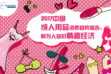 京东研究院：2017中国在线成人用品消费趋势报告