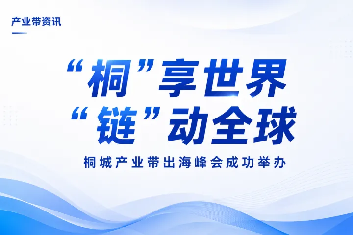 从桐城到全球，产业带企业如何打通跨境供应链？