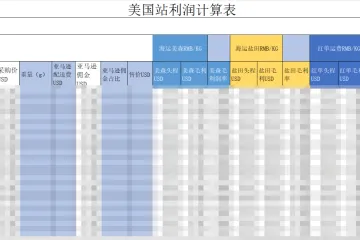 美国利润表格最终版