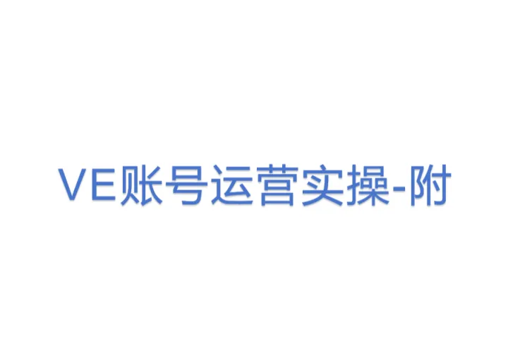 VE<em>账号</em>运营实操-附