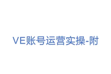 VE账号运营实操-附