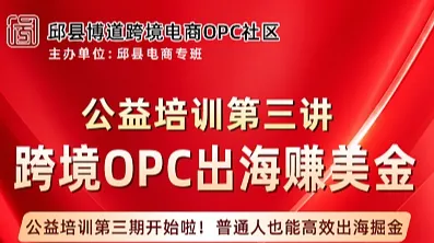 跨境OPC出海赚美金——公益培训第三讲