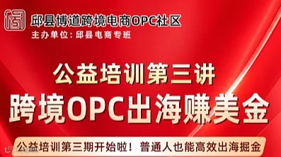 跨境OPC出海赚美金——公益培训第三讲