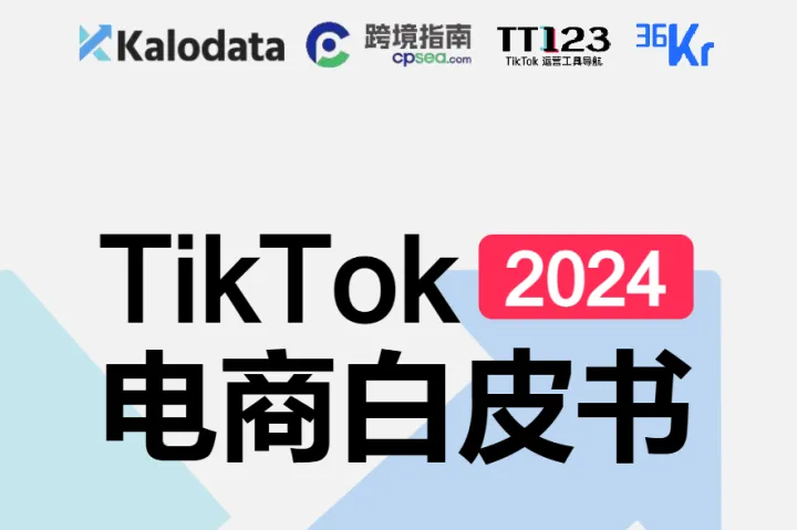 2024年TikTok电商白皮书（129页）