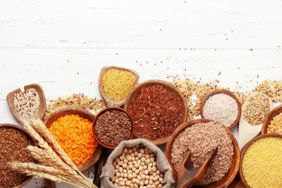 热门谷物出口市场及发展趋势洞察